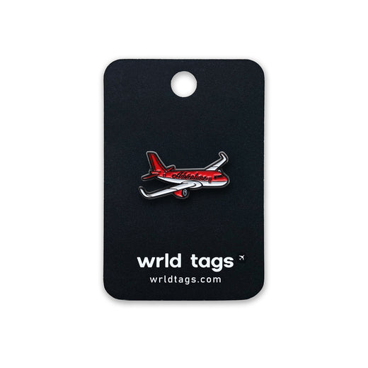 Airplane Pin