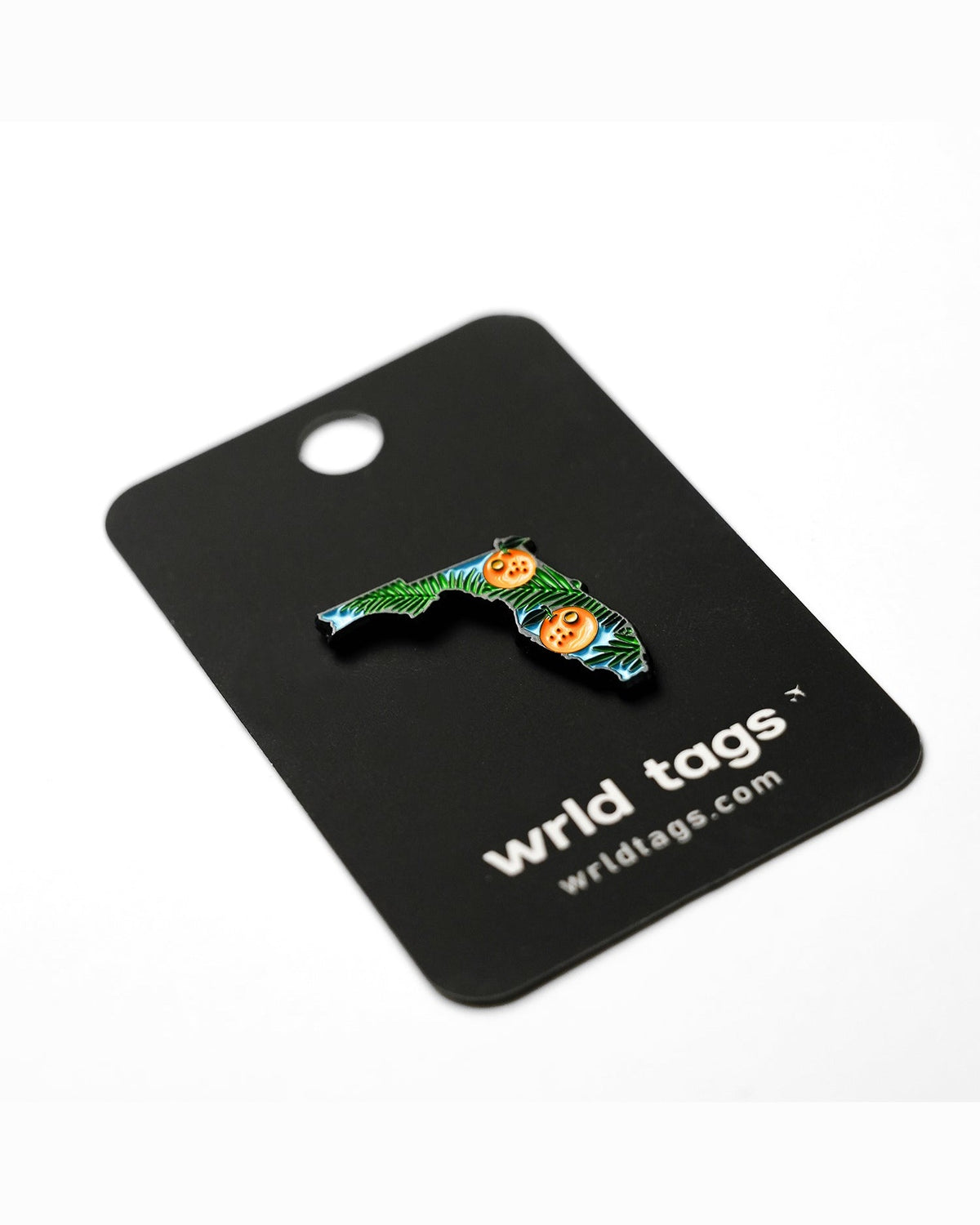Florida Map Pin
