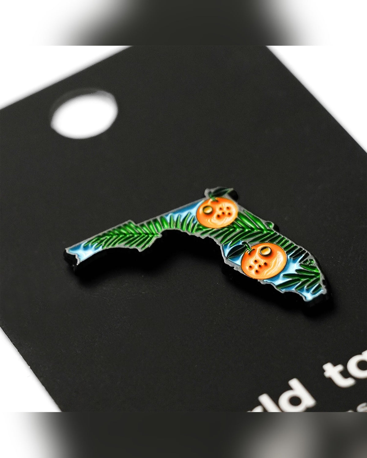 Florida Map Pin
