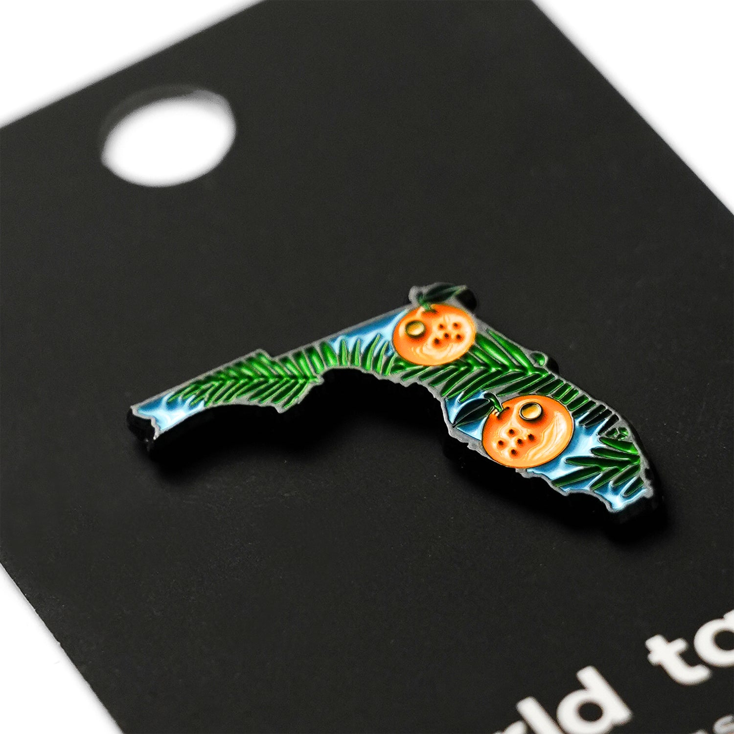 Florida Map Pin